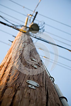 Telephone Pole