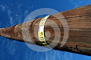 Telephone pole and blue sky