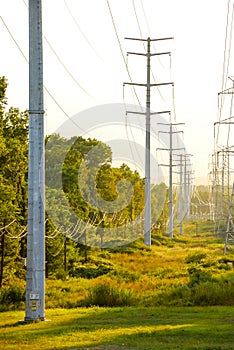 Telephone Poles and High Tension Power Cables