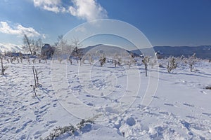 Telescope domes at the Shemakhi Observatory