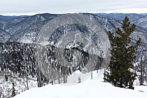 Teletsky ski resort, view from Mount Kokuya, Republic  Altai, Russia