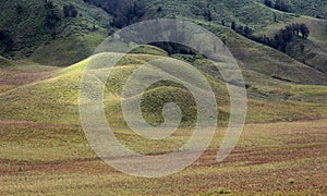 Teletubbies hill bromo