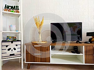 Television decore home and room