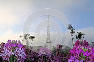 Television tower resembling Eiffel Tower, Dalat