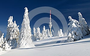 Television transmitter praded and snowcapped trees