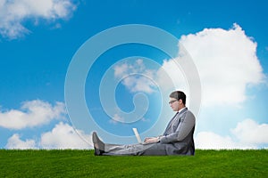 The teleworking concept with businessman working on grass