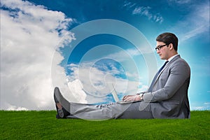The teleworking concept with businessman working on grass