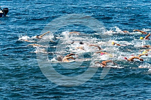 Swimming competition in the sea - Tellaro La Spezia Liguria Italy