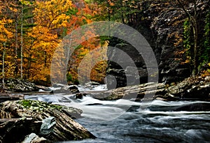 Tellico River autumn colors with blurred rushing water.