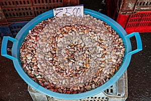 Tellines (translation: wedge clams) in a blue baskes at a market in Italy