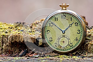 Telling Time In The Forest With An Antique Pocket Watch