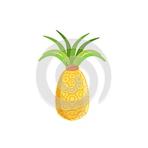 Tellow Fresh Pineapple