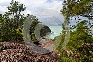 Telok padan kecil Cliff in Bako National Park photo