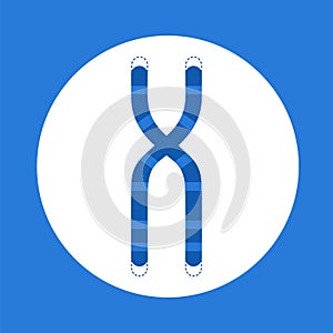 Telomere end of chromosome photo