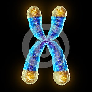 Telomere photo