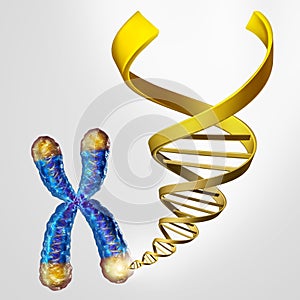 Telomeres DNA Concept
