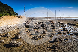 Teluk Sisek Beach photo