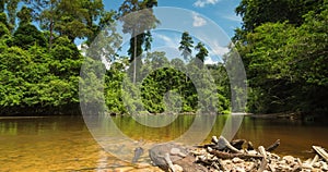 Tembeling River and surrounding rainforest, Taman Negara Malaysia