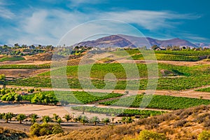 Temecula Valley shows it`s vineyards and wineries on the hills in California