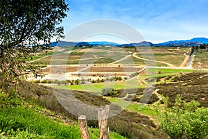 Temecula Wine Country