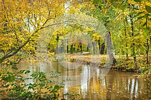 Temerin, old park, nature reserve in Serbia