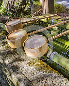 Temizuya at Shintoism Temple, Kyoto, Japan