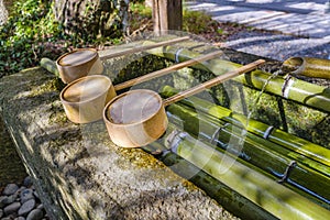 Temizuya at Shintoism Temple, Kyoto, Japan