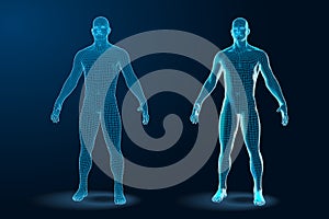 Temlate set of Human Body 3D Polygonal Wireframe Blueprint. Vector Illustration