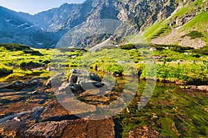 Temnosmrecianske pleso tarn in High Tatras during spring