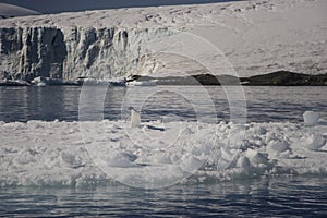 Tempanos en la peninsula Antartica photo