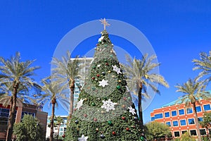 Tempe, Arizona: ChristmasTree and Palms