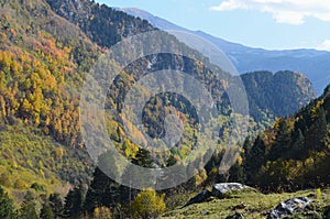 Autumn colors in the mixed forests of Posets-Maladeta Natural Park, Spanish Pyrenees photo