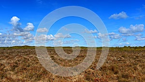 Temperate grassland near Cervantes