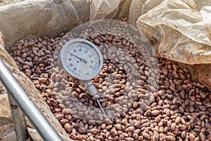 Temperature measurement of cocoa beans fermented in wooden barrels, to maintain the quality of cocoa flavor, Cocoa beans are