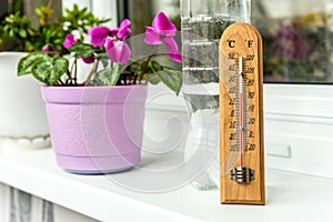 Temperature for plants on the balcony. Thermometer and room flower