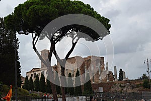 Tempio di Venere e Roma and Basilica di Santa Francesca Romana in Rome, Italy