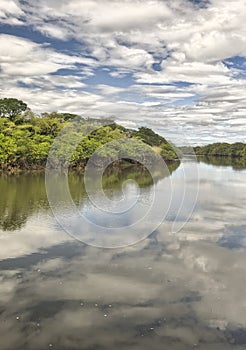 Tempisque River, Costa Rica photo