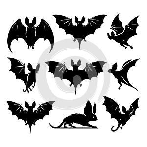 Fledermaus silhouette on white background