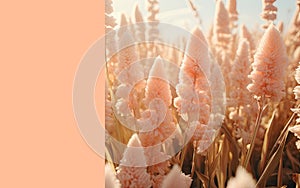 Template background with dried flowers in color of the year 2024 Peach Fuzz