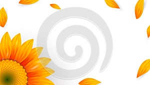 Template banner with realistic sunflower and yellow petals