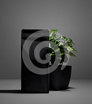 Template of black matte pouch with valve, green Arabica tree in a pot, zip package of coffee with shadows on the background