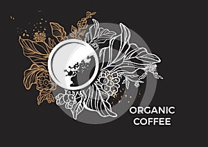 Template of branch of coffee tree, leaves, flowers and beans. Vector