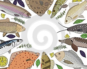 Template for cafe, restaurant, market and shop. River and sea fish with lemon and greenery hand drawn, frame. Vector illustration