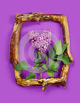 Template for design with vintage wooden frame and branch of lilac in the shape of heart