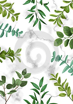 Template Frame from Greenery