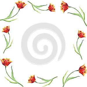 Template for frame with red tulips Hand drawn watercolor illustration with flowers for greeting cards