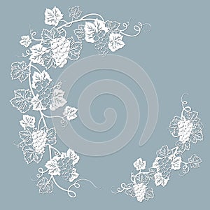 Template for laser cutting, plotter, and silkscreen printing. Vine. Grape photo