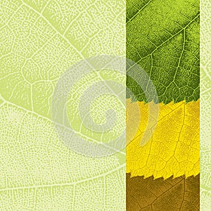 Template with leaf texture