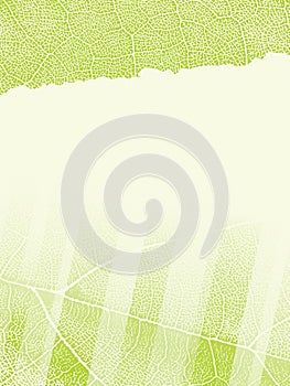 Template with leaf texture