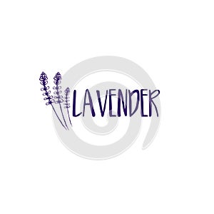 Template logo design of abstract icon lavender.
